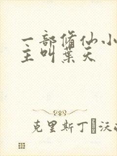 一部修仙小说男主叫叶天