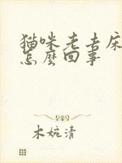 猫咪老去床上尿怎么回事