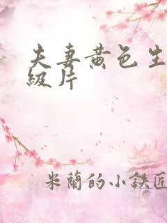 夫妻黄色生活一级片