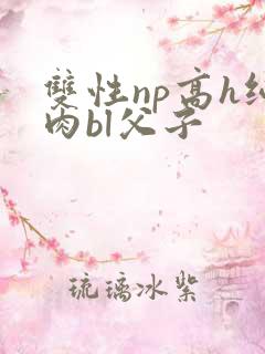 双性np高h纯肉bl父子