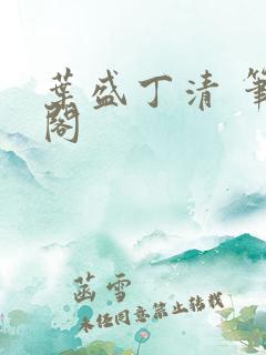 叶盛丁清 笔趣阁