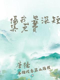 伤我最深短剧全集免费