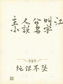 主人公叫江晨的小说名字