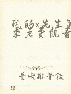 我的x先生第一季免费观看