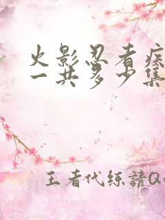 火影忍者疾风传一共多少集