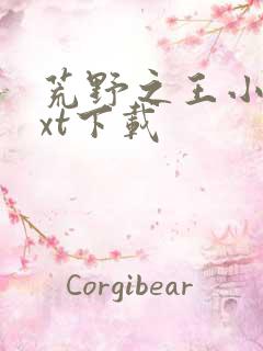 荒野之王小说txt下载