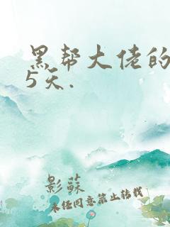 黑帮大佬的365天.