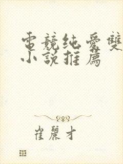 电竞纯爱双男主小说推荐