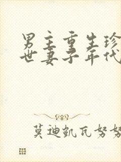 男主重生珍惜前世妻子年代文