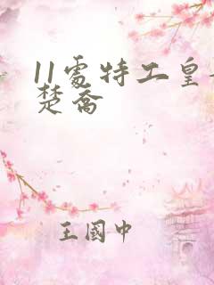 11处特工皇妃楚乔