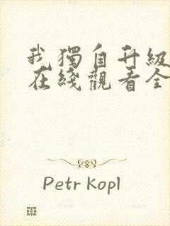 我独自升级漫画在线观看全集免费下拉式