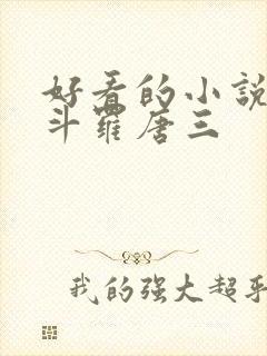 好看的小说穿越斗罗唐三