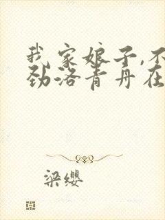 我家娘子,不对劲洛青舟在线阅读免费