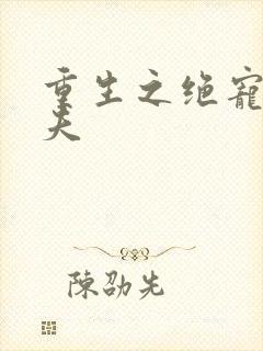 重生之绝宠小娇夫