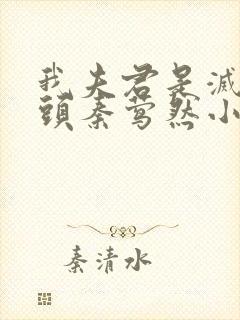 我夫君是灭世魔头秦莺然小说全文