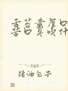 舌苔黄厚口干口苦口臭吃什么药