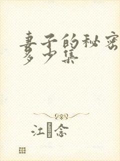 妻子的秘密一共多少集