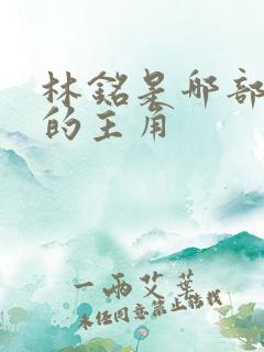 林铭是哪部小说的主角