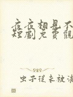 夜夜相见不识君短剧免费观看