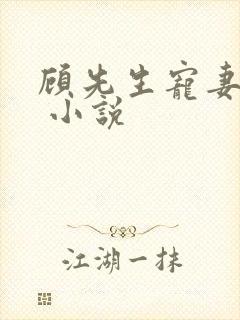 顾先生宠妻有度 小说