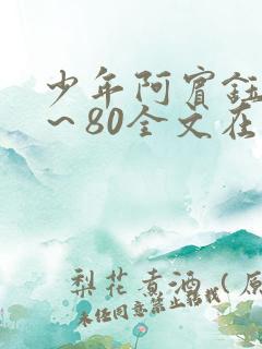 少年阿宾钰慧1～80全文在