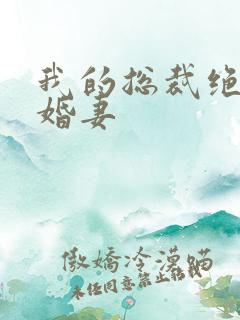 我的总裁绝色未婚妻