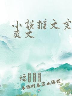 小说推文完结文爽文