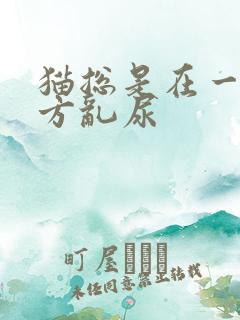 猫总是在一个地方乱尿