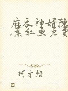 麻衣神婿陈黄皮,叶红鱼免费听书