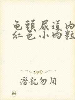 龟头尿道内侧长红色小肉粒