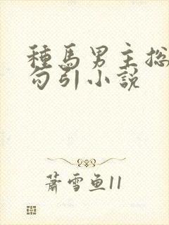 种马男主总是被勾引小说