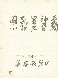 国民男神爱上我小说免费阅读