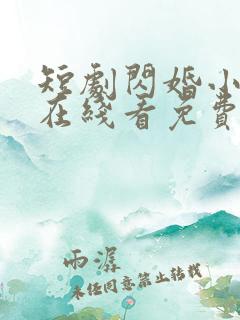 短剧闪婚小甜妻在线看免费