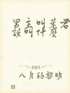 男主叫叶君的小说叫什么