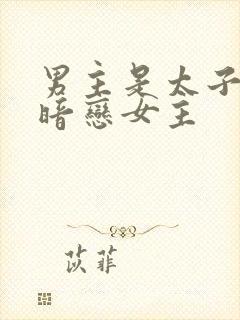 男主是太子从小暗恋女主