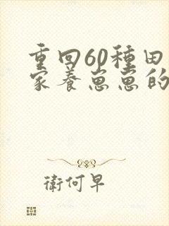 重回60种田发家养崽崽的小说