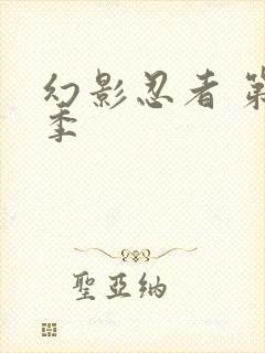 幻影忍者 第3季