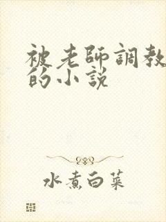 被老师调教玩弄的小说