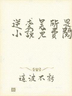 逆袭吴所畏池骋小说免费阅读免费