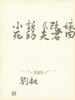 小说《改嫁时战死的夫君回来了》