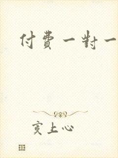 付费一对一聊天