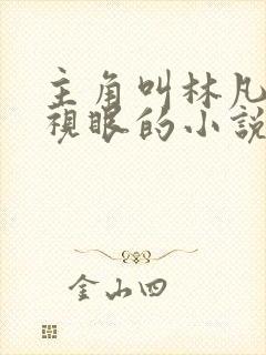 主角叫林凡有透视眼的小说