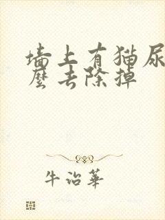 墙上有猫尿味怎么去除掉