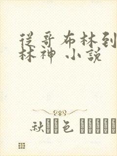 从哥布林到哥布林神 小说