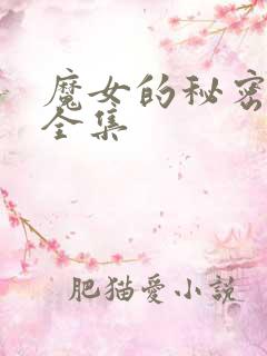 魔女的秘密契约全集