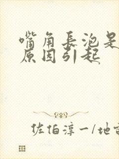 嘴角长泡是什么原因引起