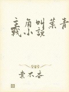 主角叫叶青的抗战小说