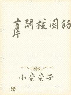 有关校园的动画片