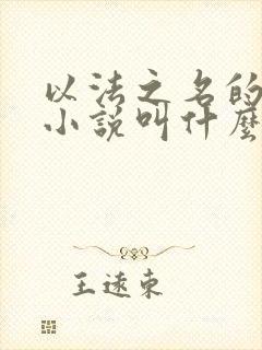 以法之名的原著小说叫什么