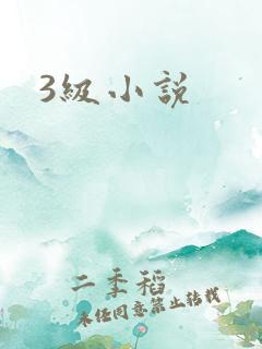 3级小说